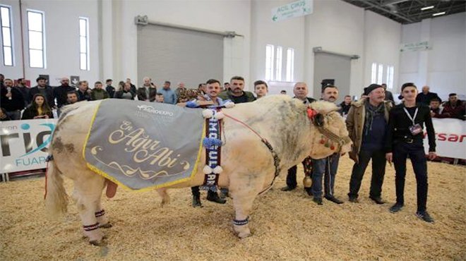 15. Agroexpo Uluslararası Tarım ve Hayvancılık fuarı açılıyor