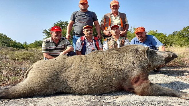 400 kiloluk domuzu vurdular