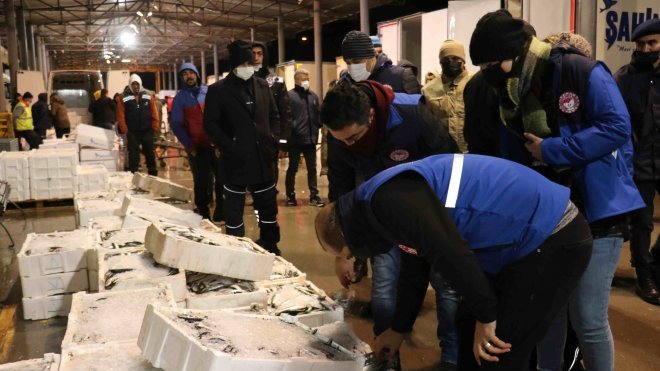 8 ton balığa el kondu
