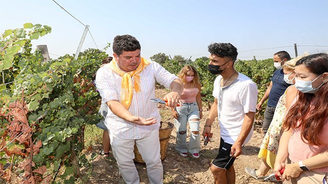 AIESEC gençleri Buca’da üzüm hasadında