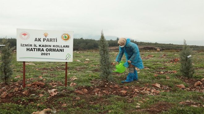 AK Kadın İzmir'den Orman Haftası'nda fidan dikimi 600 fidan toprakla buluştu