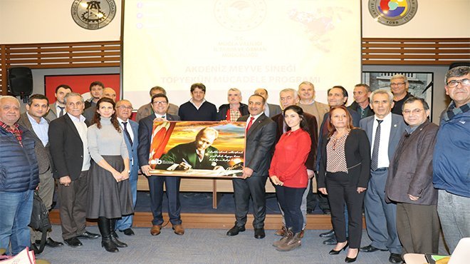 Akdeniz Meyve Sineği ile topyekun mücadele başlatıldı
