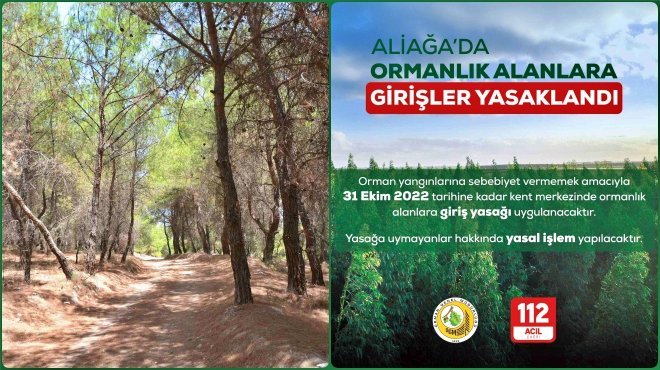 ALİAĞA’DA 31 EKİM’E KADAR ORMANLIK ALANLARA GİRİŞ YASAK