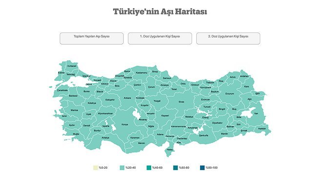 Aşı haritası belli oldu