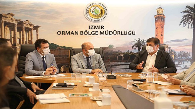 Atlar artık ‘başıboş’ kalmayacak!