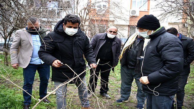 “Ayva”sı var “Nar”ı var!
