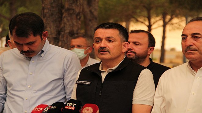 Bakan Pakdemirli: Muğla'da Milas ve Bodrum yangınları kontrol altına alındı