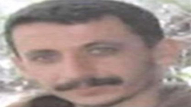 Bakan Soylu: Şehitlerimiz, rahat uyusun
