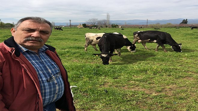 BAKANLIK SÜT KRİZİNİ ÖNLEMEYE ÇALIŞIYOR