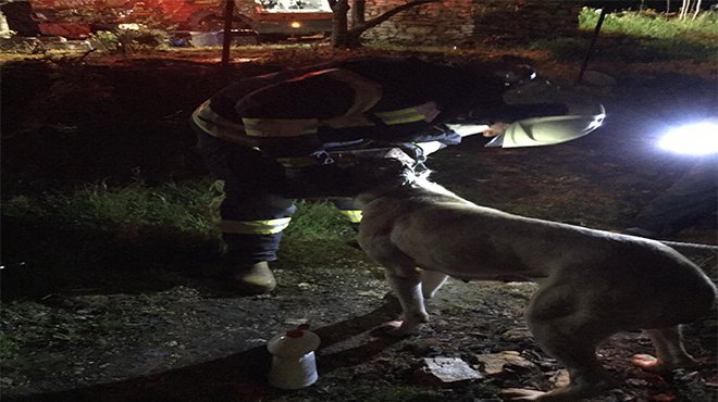  Başı Sıkışan köpeğin İmdadına İtfaiye Koştu