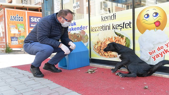 Başkan Gümrükçü vatandaşa ekmek, sokak hayvanlarına mama dağıttı