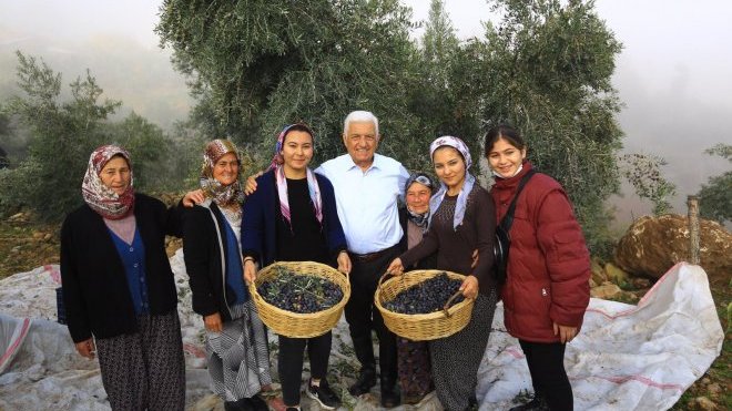 Zeytinlikler için hukuki mücadele başlatıyor!..