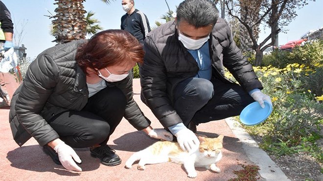 Başkan Kırgöz’den Koronavirüs Raporu