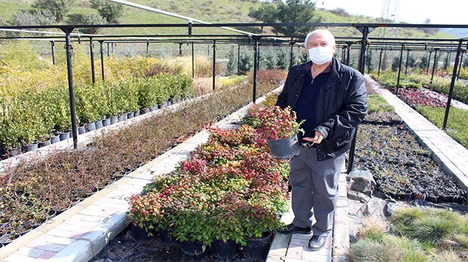 Başkan Selvitopu yeni fidanlığı inceledi