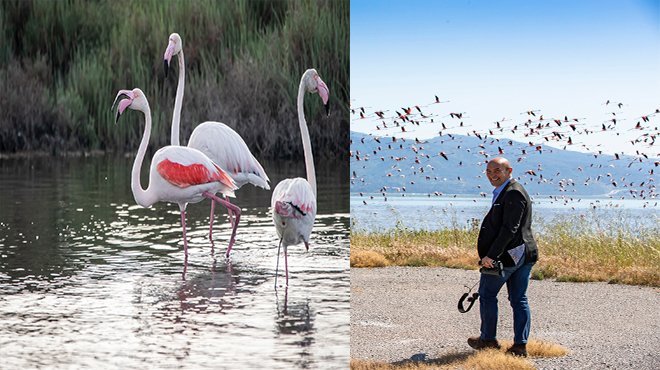 Başkan Soyer Güney Gediz Deltası projesini yerinde inceledi