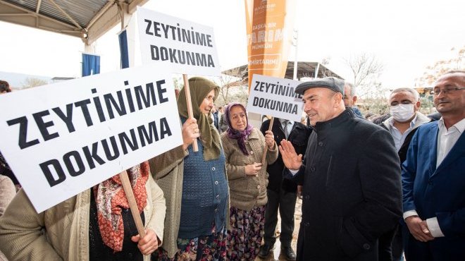 Başkan Soyer:'Zeytin ağaçlarının yok edilmesi asla kabul edilemez'