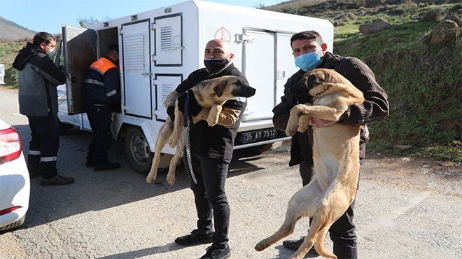 BAYRAKLI'DA HAYVANSEVERLERDEN ÖRNEK DAYANIŞMA