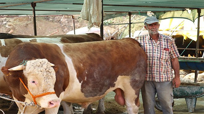 BAYRAKLI KURBAN SATIŞ YERİ KURBAN BAYRAMI'NA HAZIR
