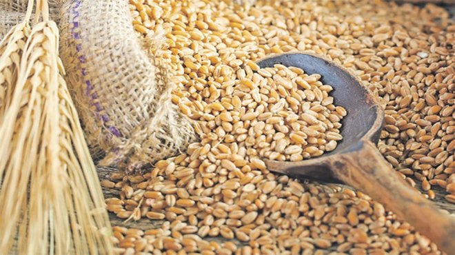 Bazı tarım ürünlerinin ithalatında gümrük vergisi sıfırlandı