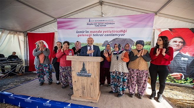 Belediyenin hibe ettiği mandalar 13 yavruyla kadınların yüzünü güldürdü