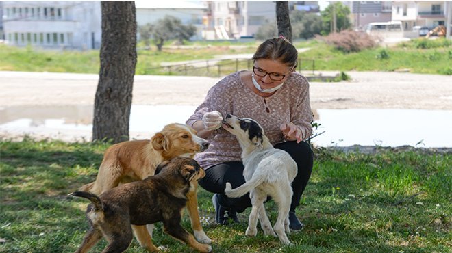 Bergama’da can dostlar unutulmuyor
