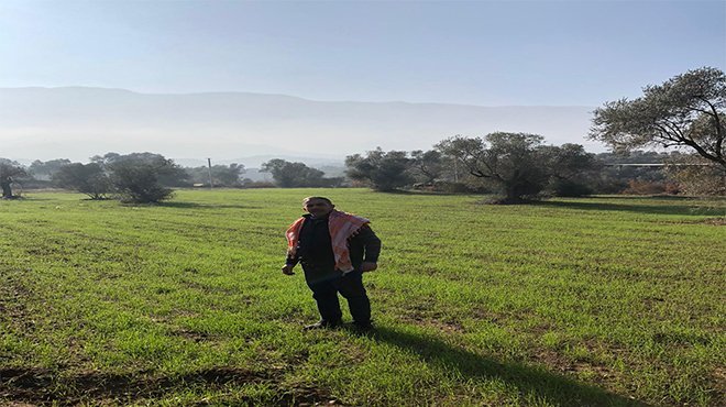 Beydağ’daki Karakılçık Buğdayları Büyüyor