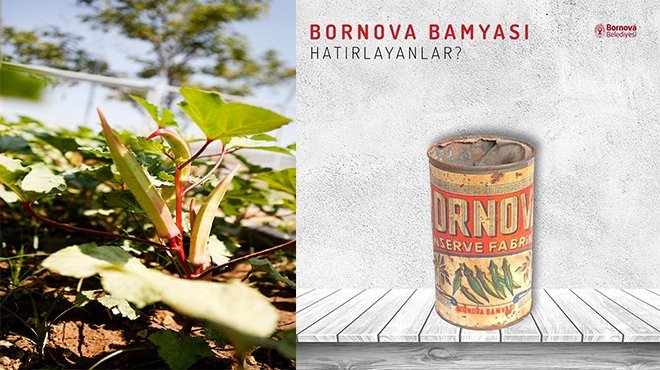 Bornova Bamyası’na coğrafi tecsil