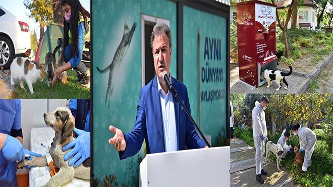 Bornova Belediyesi can dostları unutmuyor
