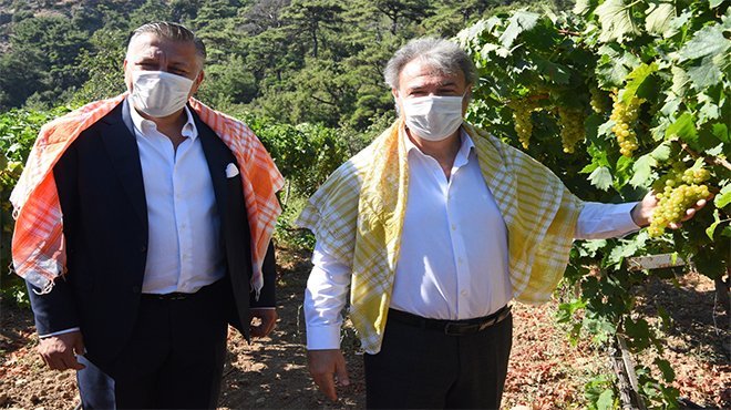 Bornova’da bağ bozumu bereketi