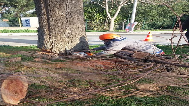  Bornova’da budama yapılan dallar geri dönüşümle tekrar kazandırılıyor