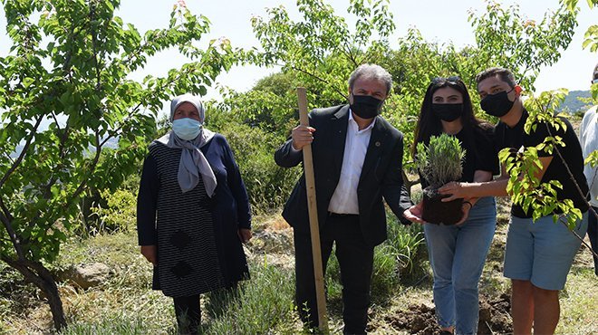 Bornova’da hedef 500 bin tohum