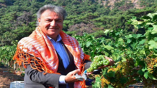 Bornova’da ücretsiz sebze fidanı 