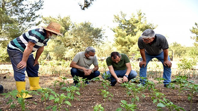 Bornovalı çiftçiye yerinde destek sürüyor