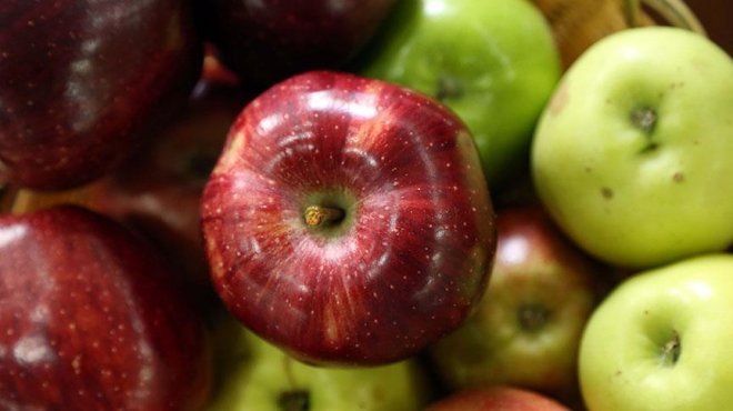 'Bu elmaları Türkiye'de bulmak zor'