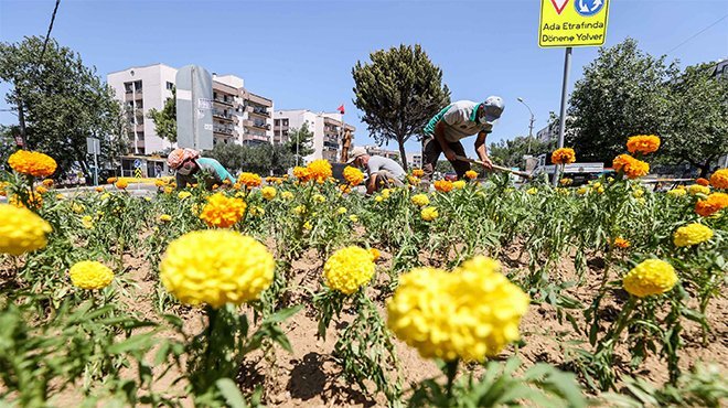 Buca bahardan yaza çiçeklerle renklendi