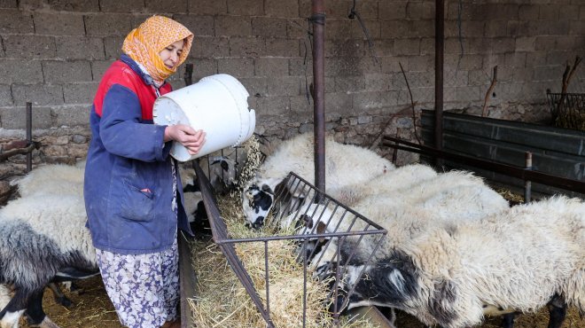 Buca Belediyesi’nden çiftçiye arpa desteği
