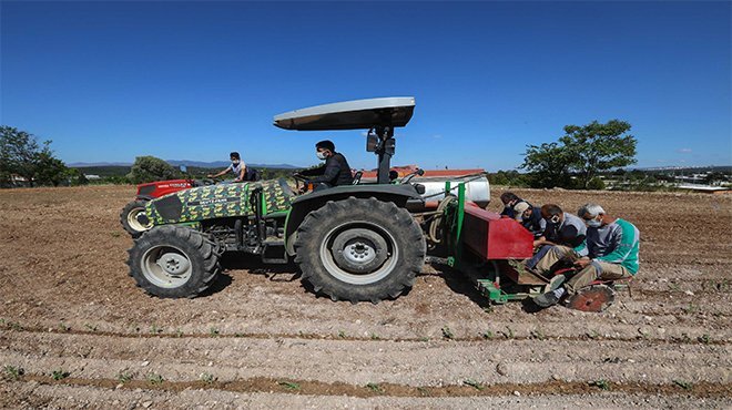 Buca Belediyesi’nden Gölet’e kekik