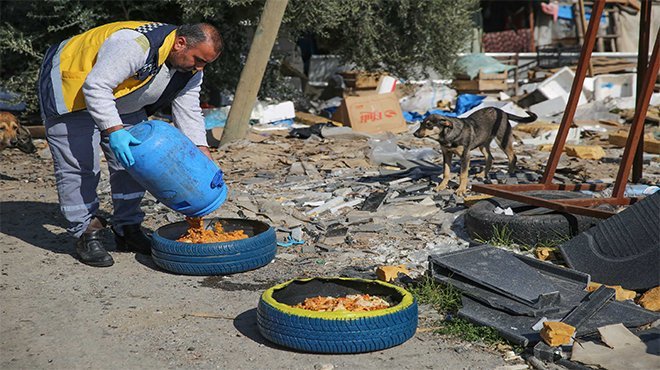 BUCA’DA  SOKAK HAYVANLARI UNUTULMUYOR