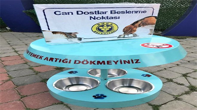 Buca’da sokak hayvanlarına özel önlem