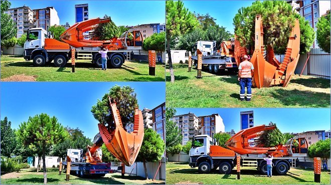 BUCA METROSU İNŞAATINDA AĞAÇLAR TAŞINARAK KORUMA ALTINA ALINIYOR
