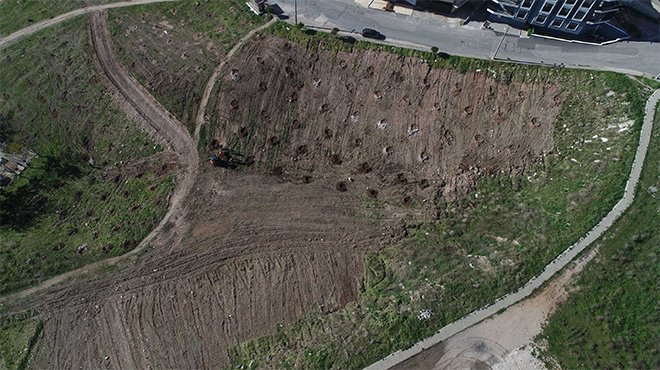 Buca’nın kalbine bin ağaçlık dev orman