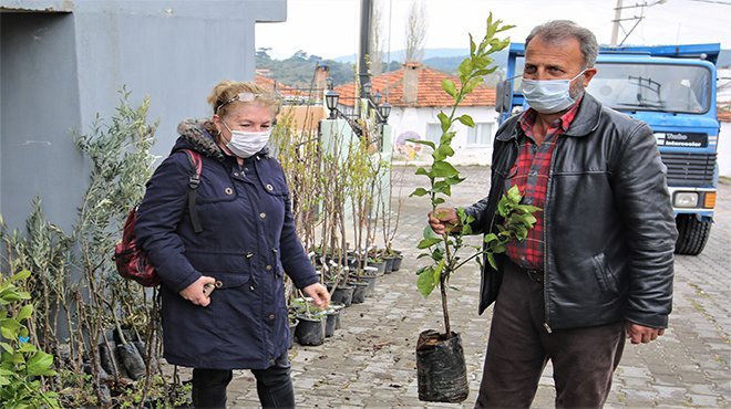 Buca’nın kırsal mahallelerine fidan desteği 