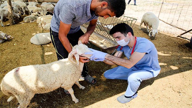 Buca’nın kurban pazarları denetlendi