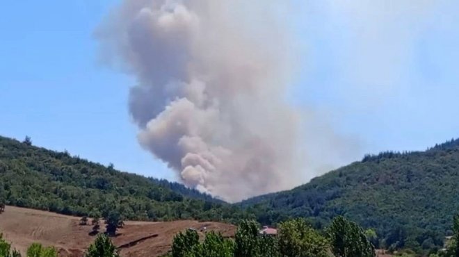 Bursa’da orman yangını