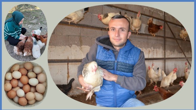 BÜYÜKŞEHİRDEN KÖYÜNE DÖNDÜ, GEZEN TAVUK YUMURTASI ÜRETİCİSİ OLDU...