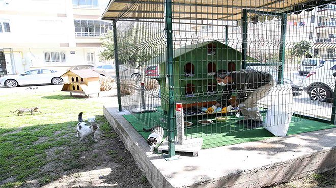 Can dostlar Karşıyaka Belediyesi’ne emanet