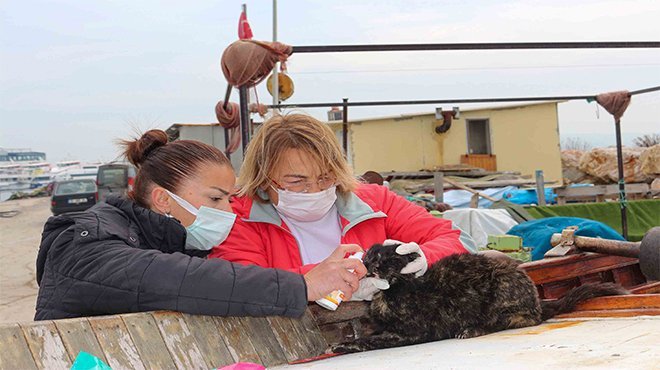 Can dostlara beslenme desteği