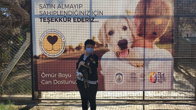 CAN DOSTLARINI SAHİPLENENLER ÇOĞALIYOR