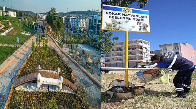 Can dostlarının ikinci yuvası