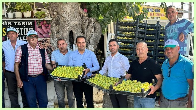 ÇAPAK BARDACIK İNCİRİ ABD’YE GİDİYOR!..